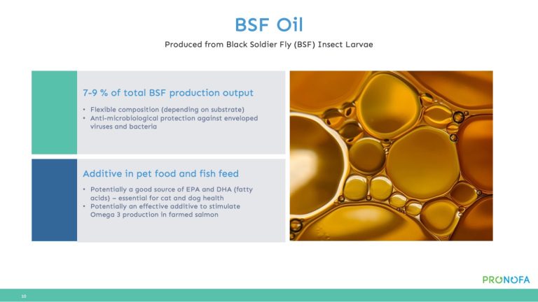 Black Soldier Fly (BSF) oil